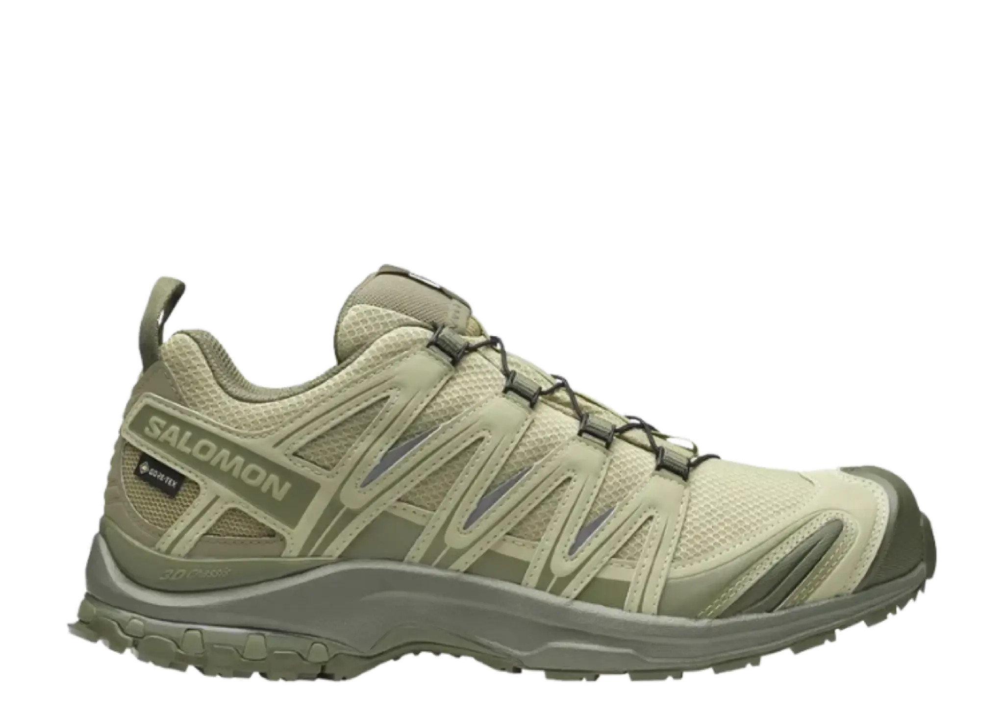 Salomon XA Pro 3D GORETEX Grey Green