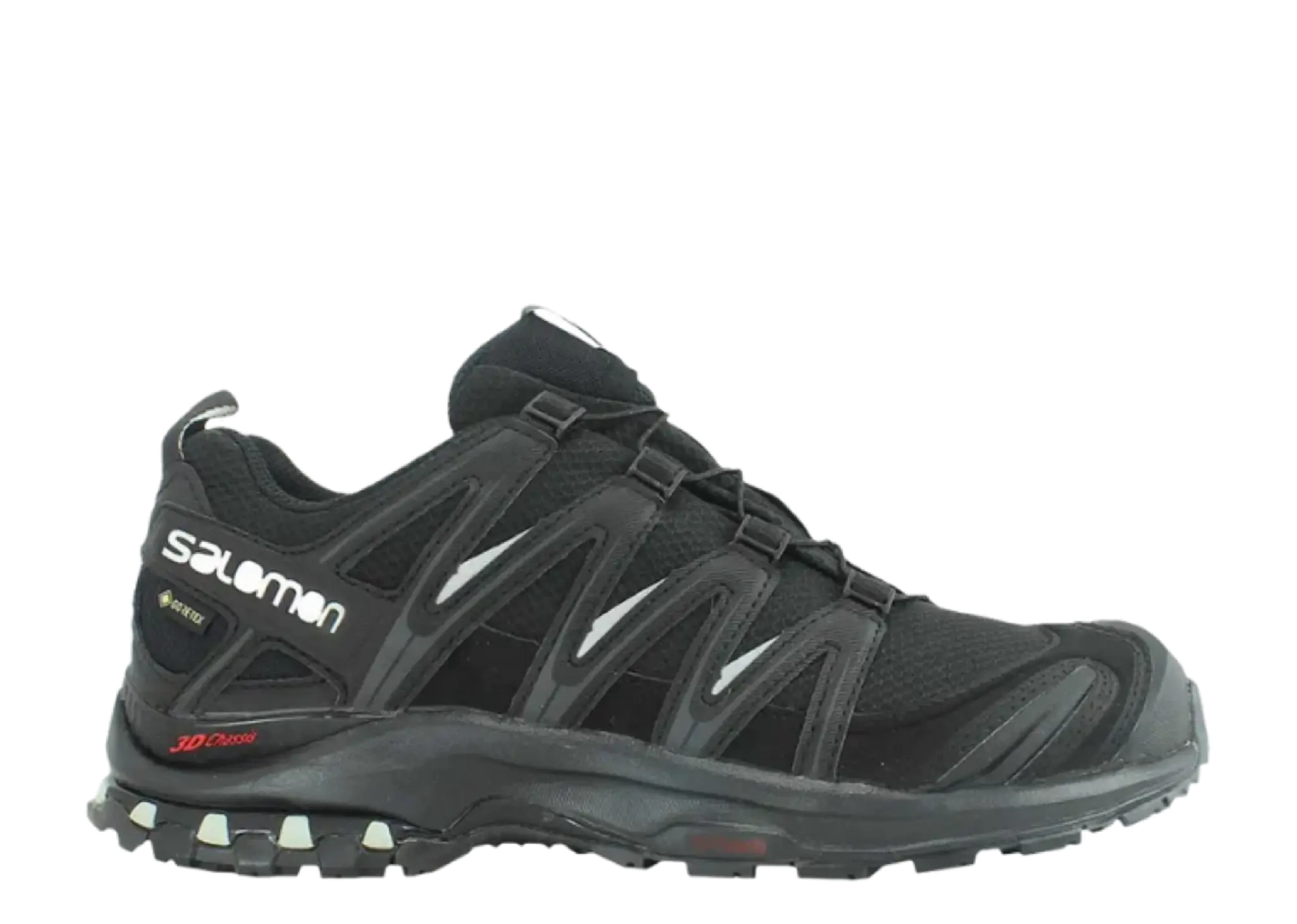 Salomon XA Pro 3D GORETEX Black Mineral Grey (Women's)
