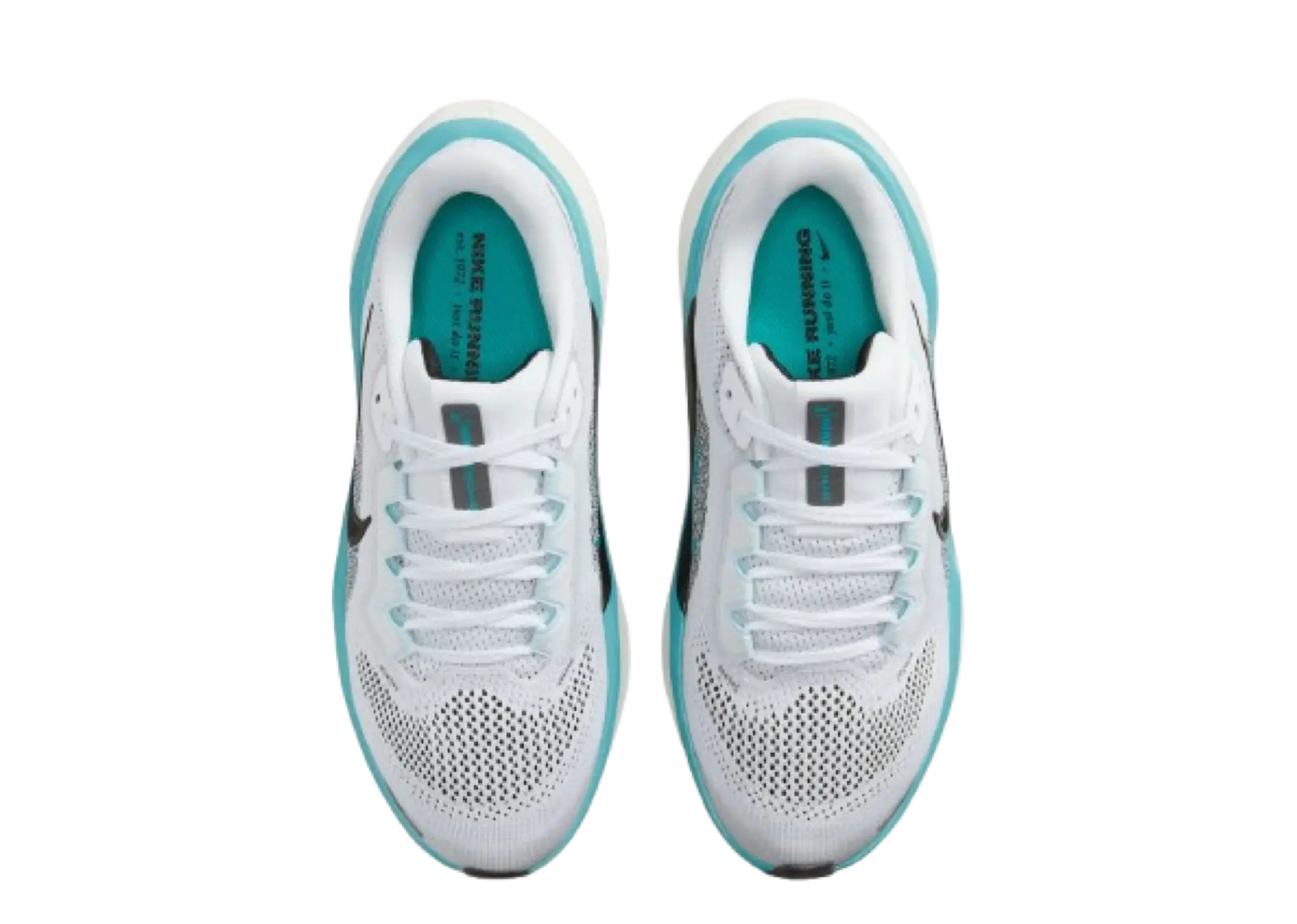 Nike Air Zoom Pegasus 41 White Dusty Cactus Glacier Blue Black (Grade School) - photo 2