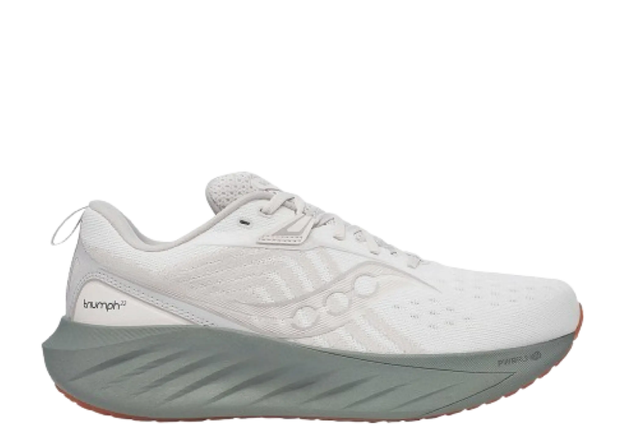 Saucony Triumph 22 Moon Bough