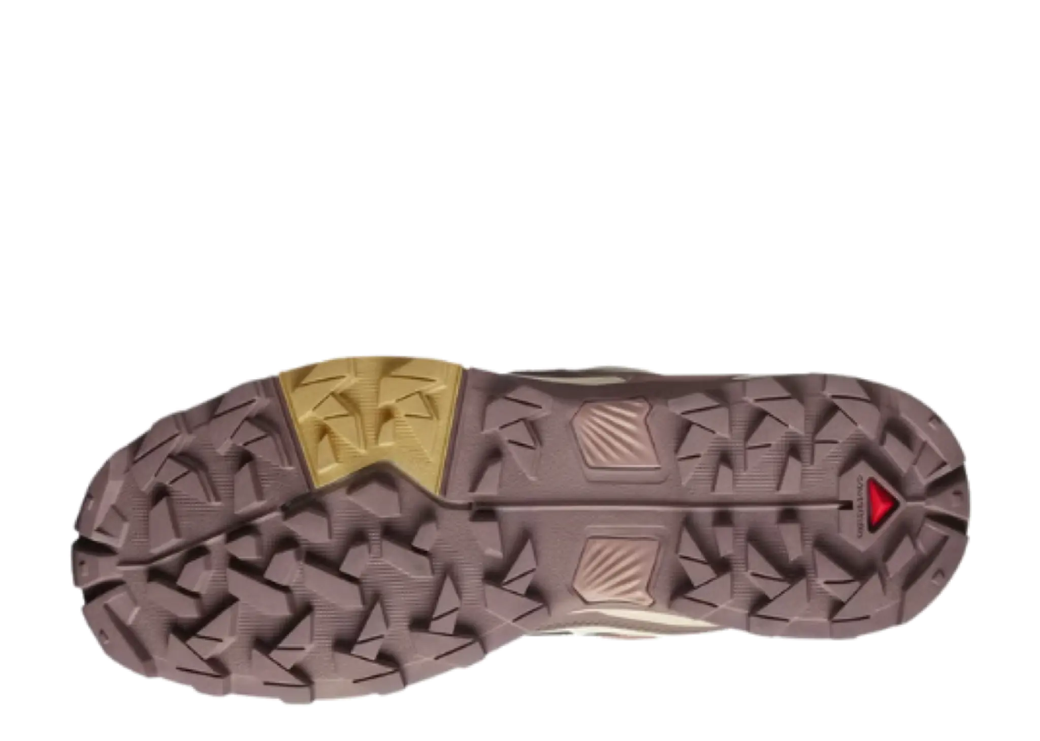 Salomon X Ultra 5 Gore-Tex Burlwood French Roast (Women's) - photo 4