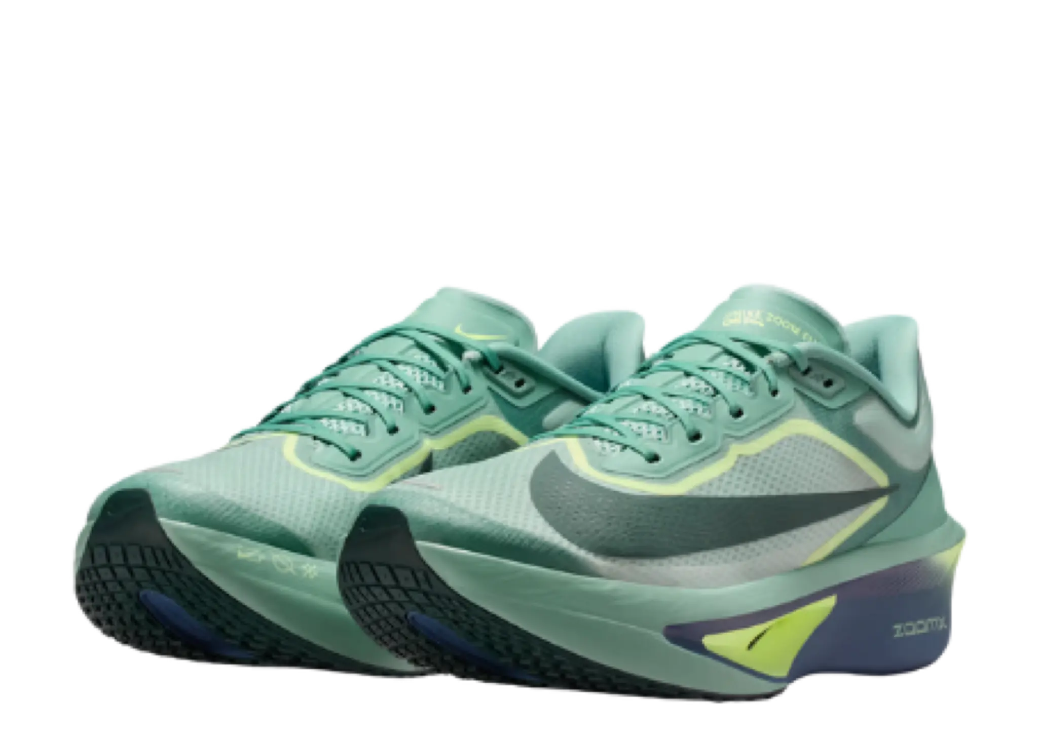 Nike Zoom Fly 6 RR Cannon - photo 2