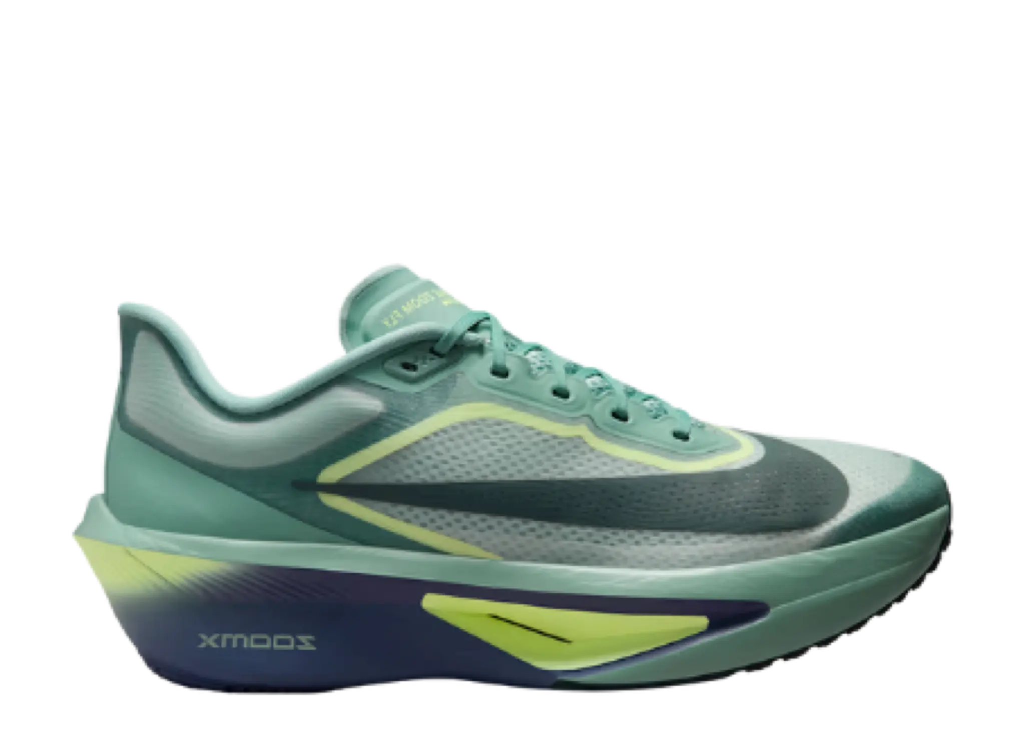 Nike Zoom Fly 6 RR Cannon