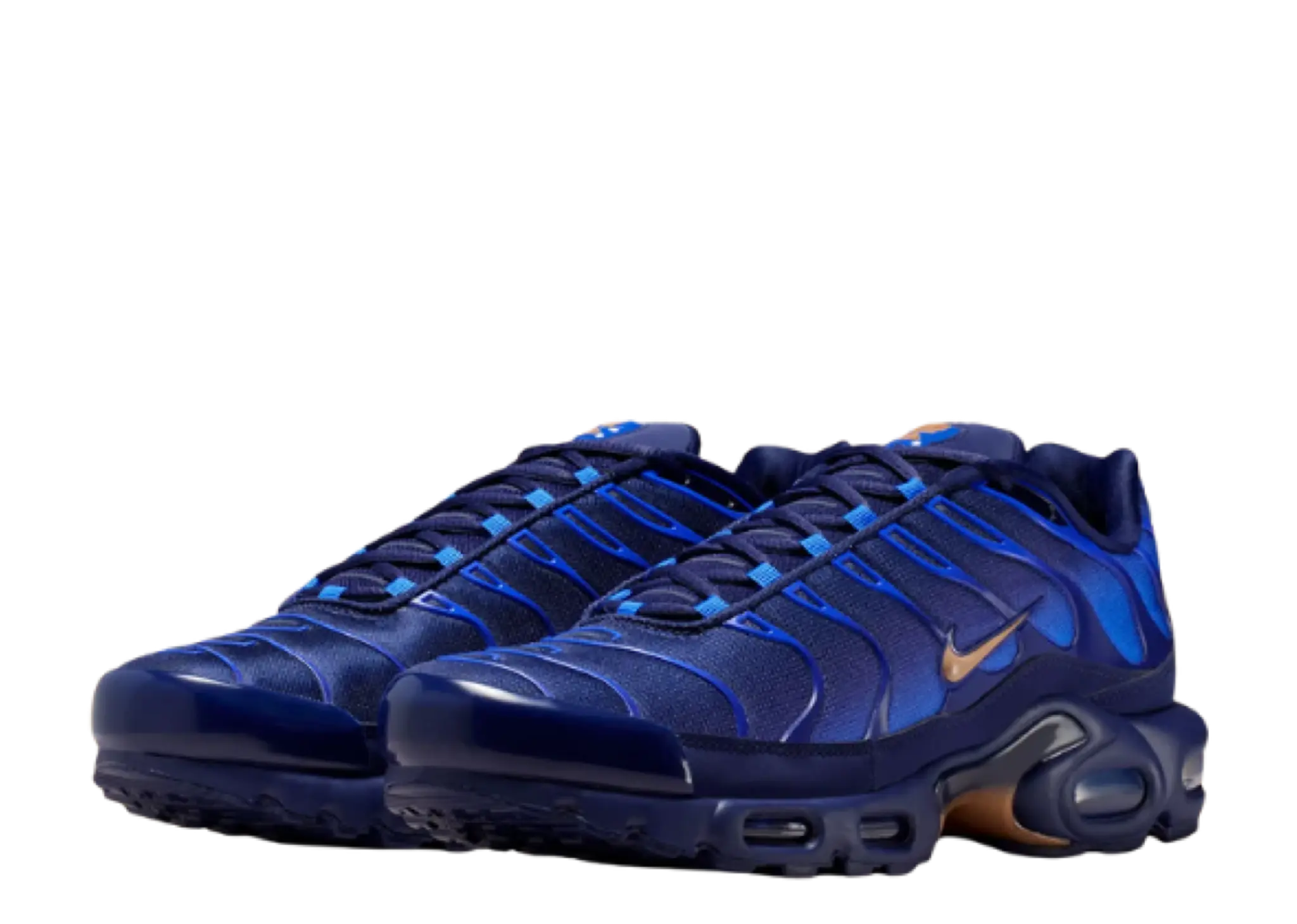 Nike Air Max Plus French Football Federation - photo 2