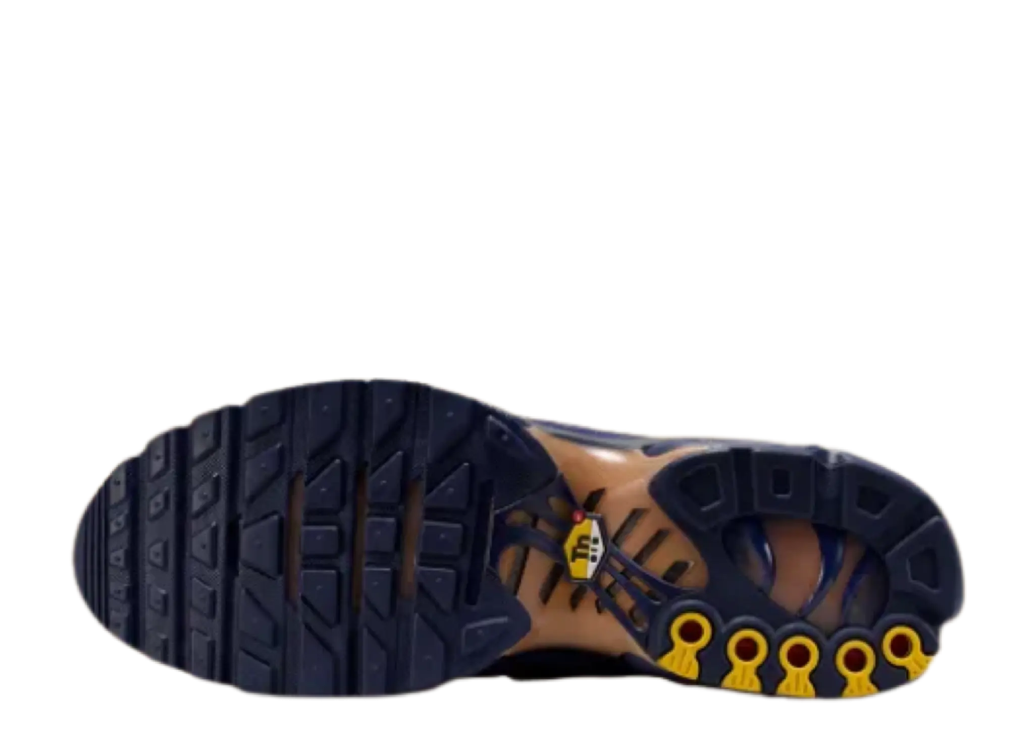 Nike Air Max Plus French Football Federation - photo 4
