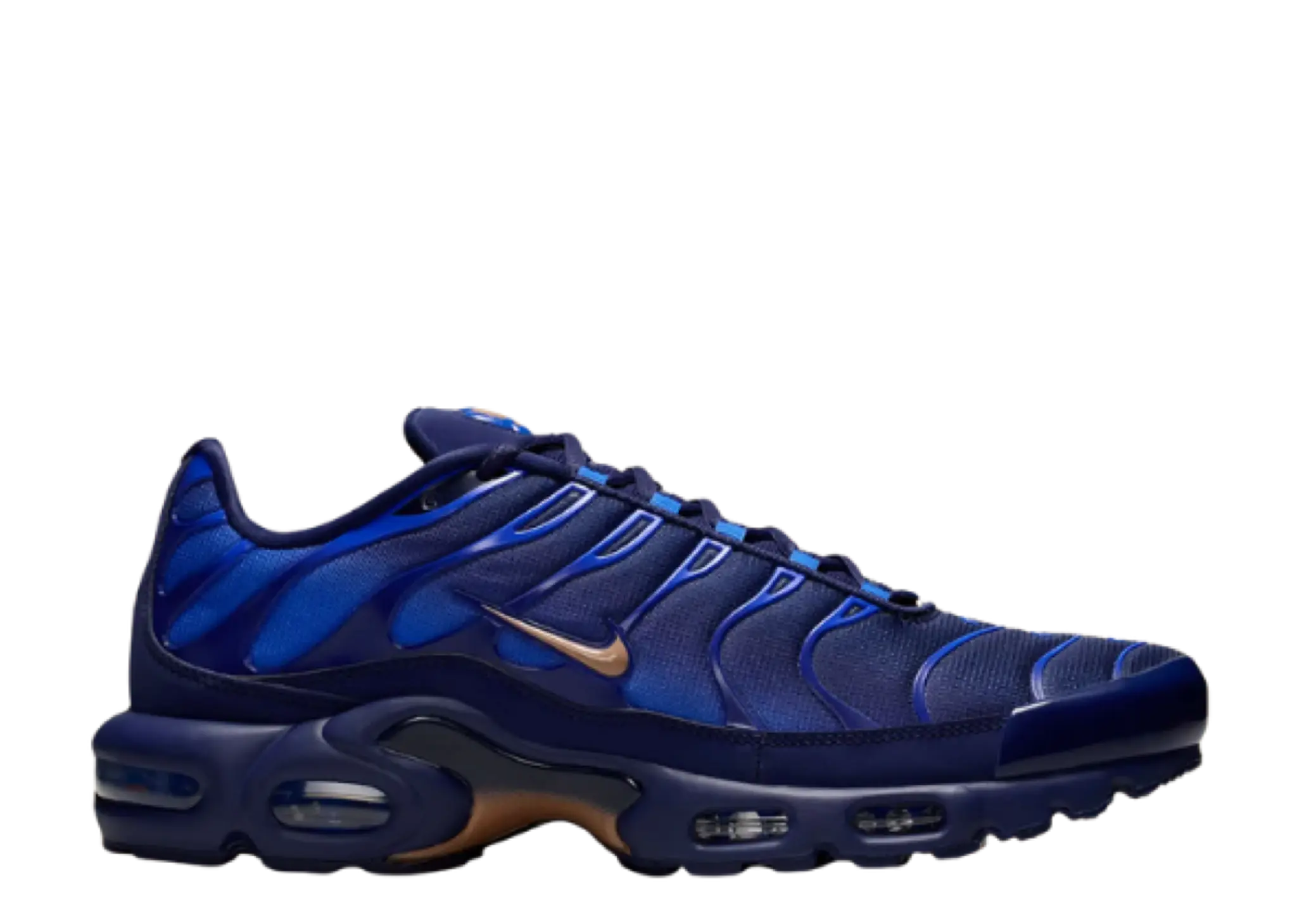 Nike Air Max Plus French Football Federation