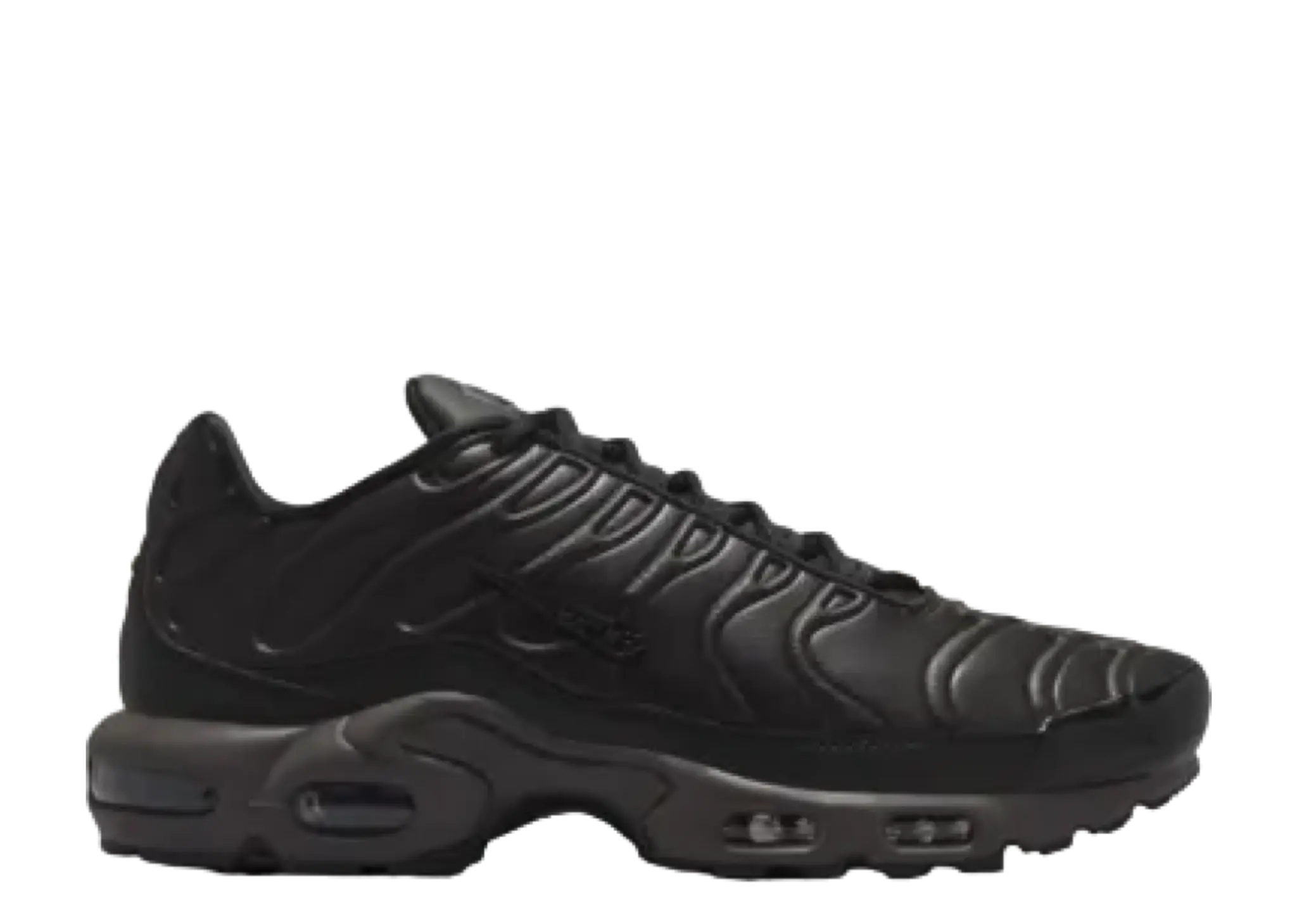 Nike Air Max Plus Premium Paris