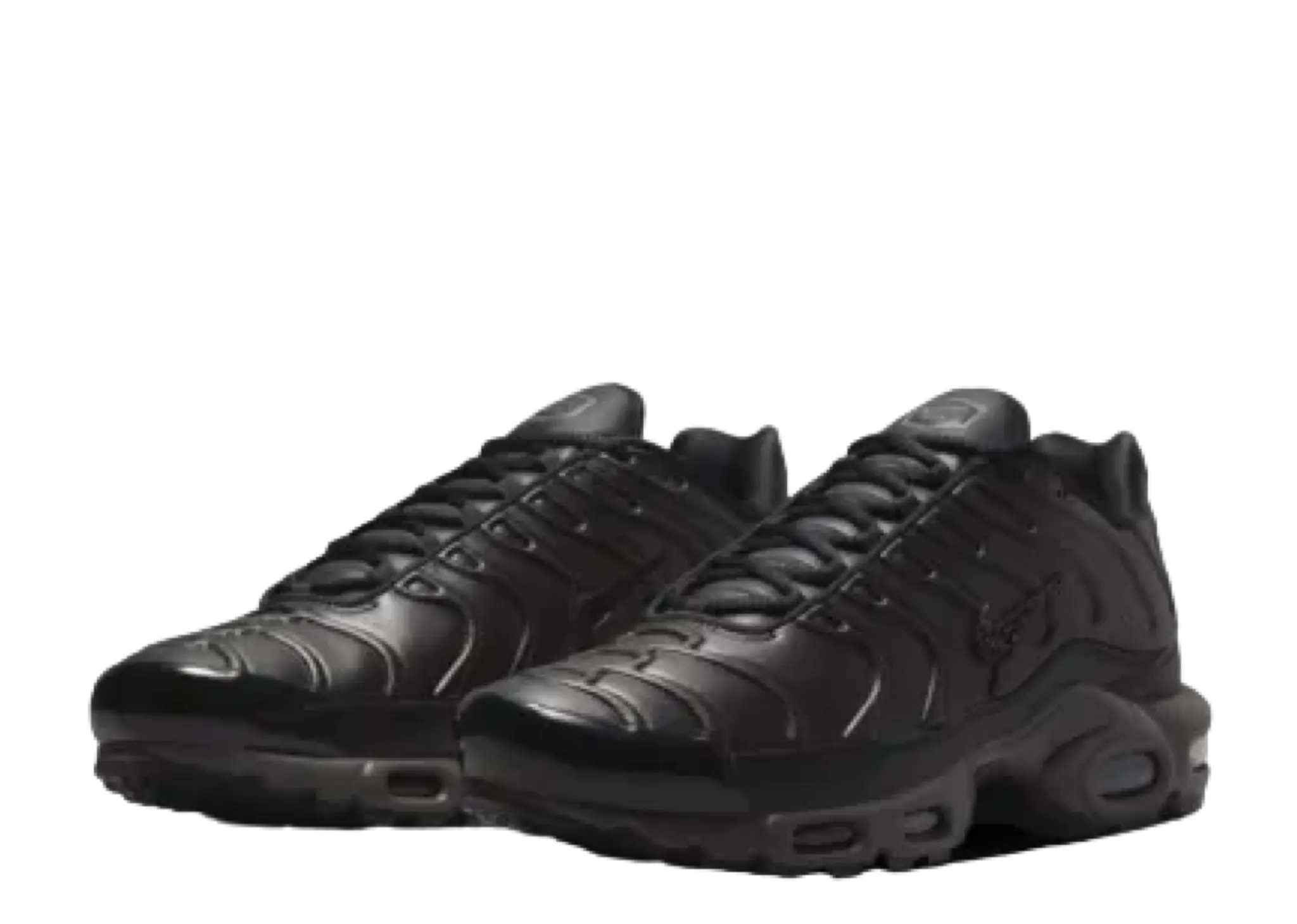 Nike Air Max Plus Premium Paris - photo 2
