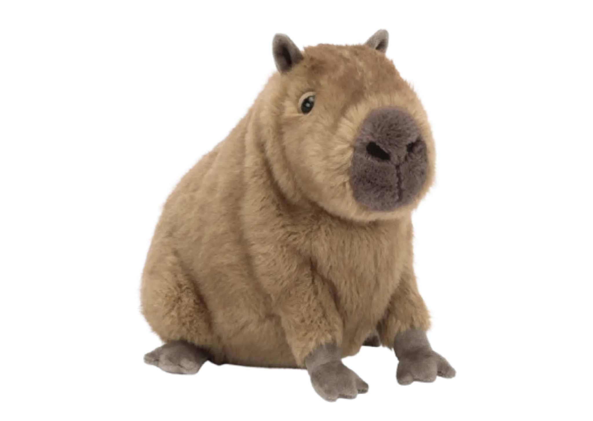 Jellycat Clyde Capybara