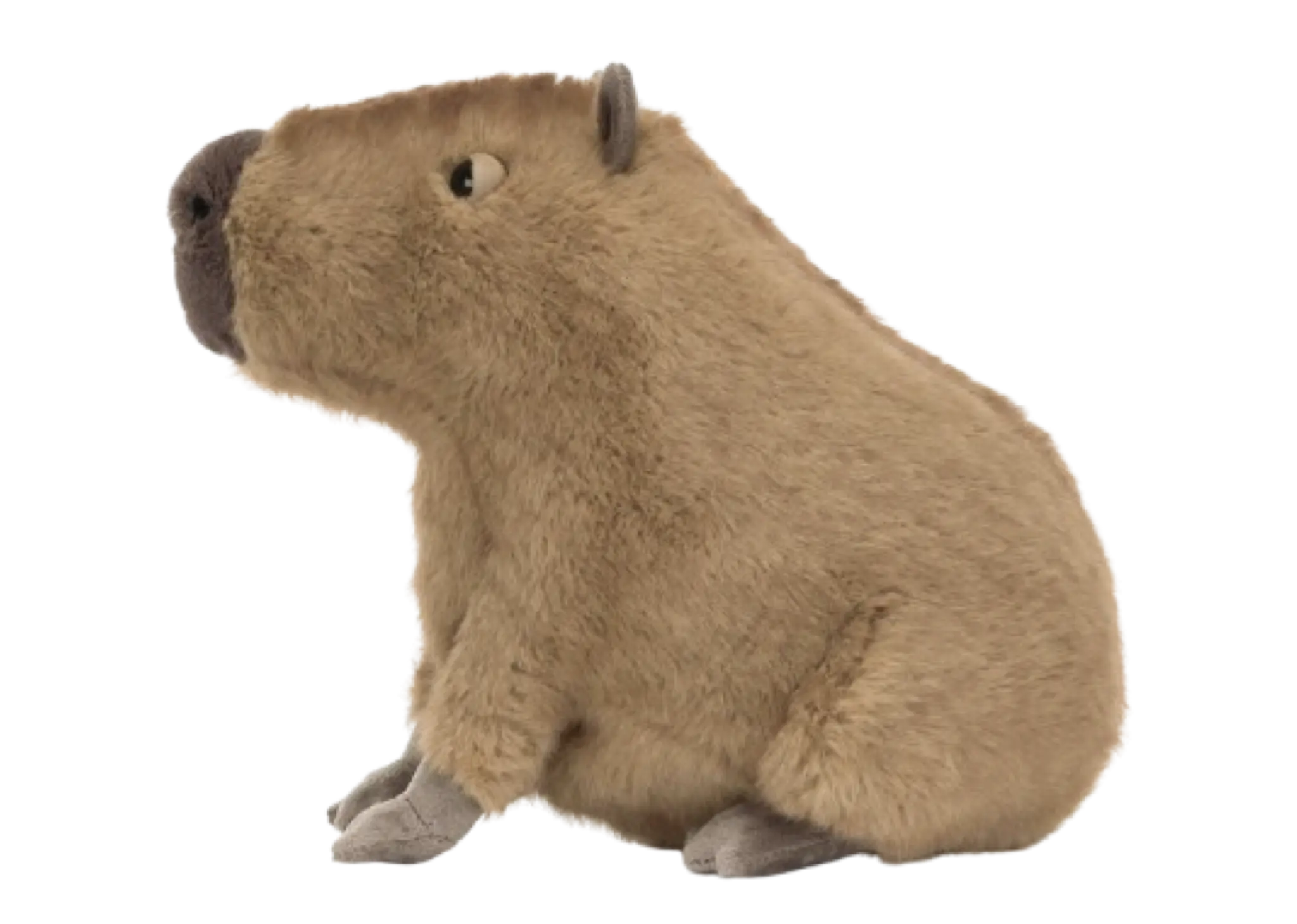 Jellycat Clyde Capybara - photo 2