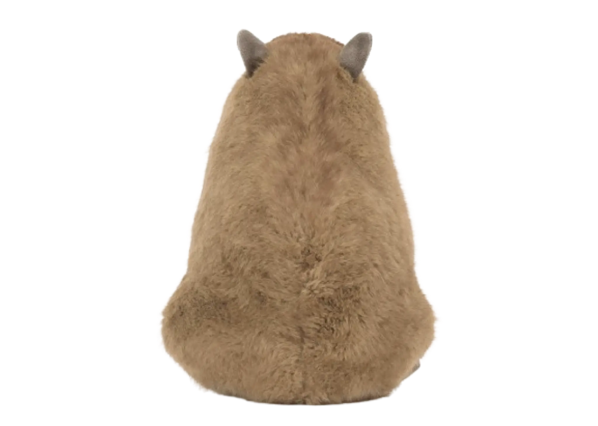 Jellycat Clyde Capybara - photo 3