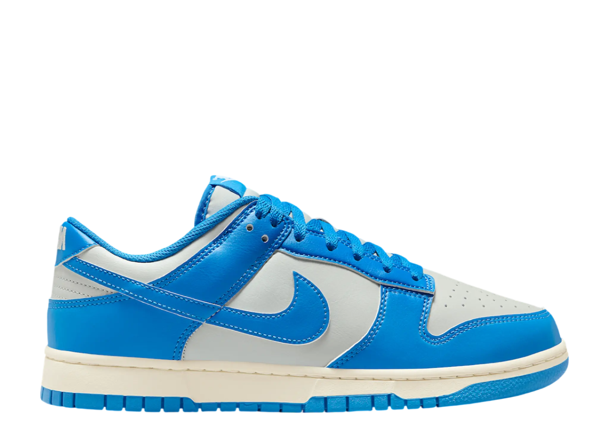 Nike Dunk Low Detroit Lions