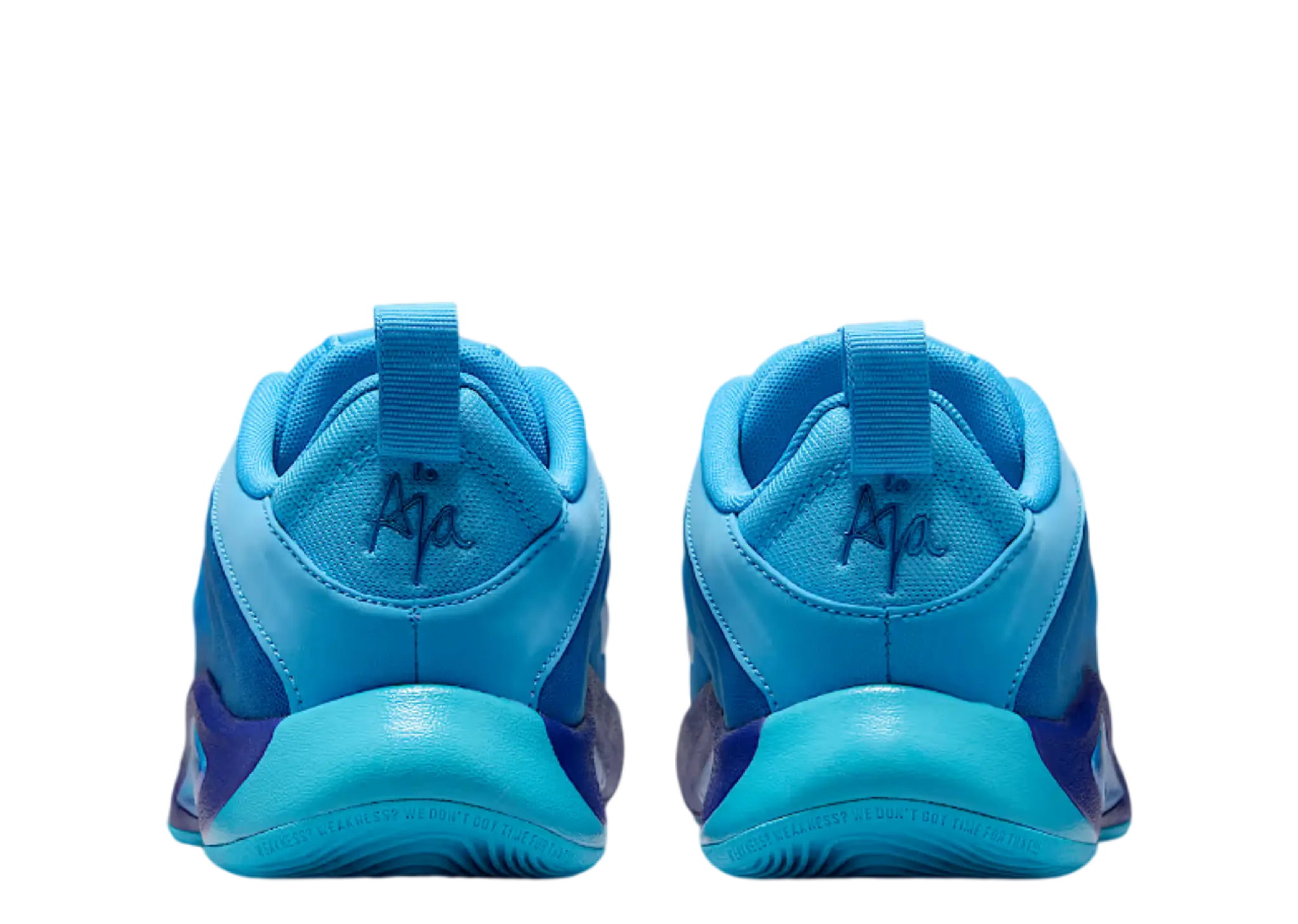 Nike A'One Blue Fury (Grade School) - photo 3