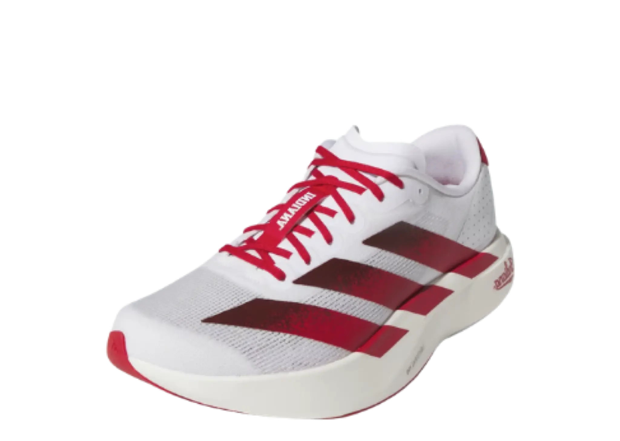 Adidas Adizero Evo SL Indiana - photo 2