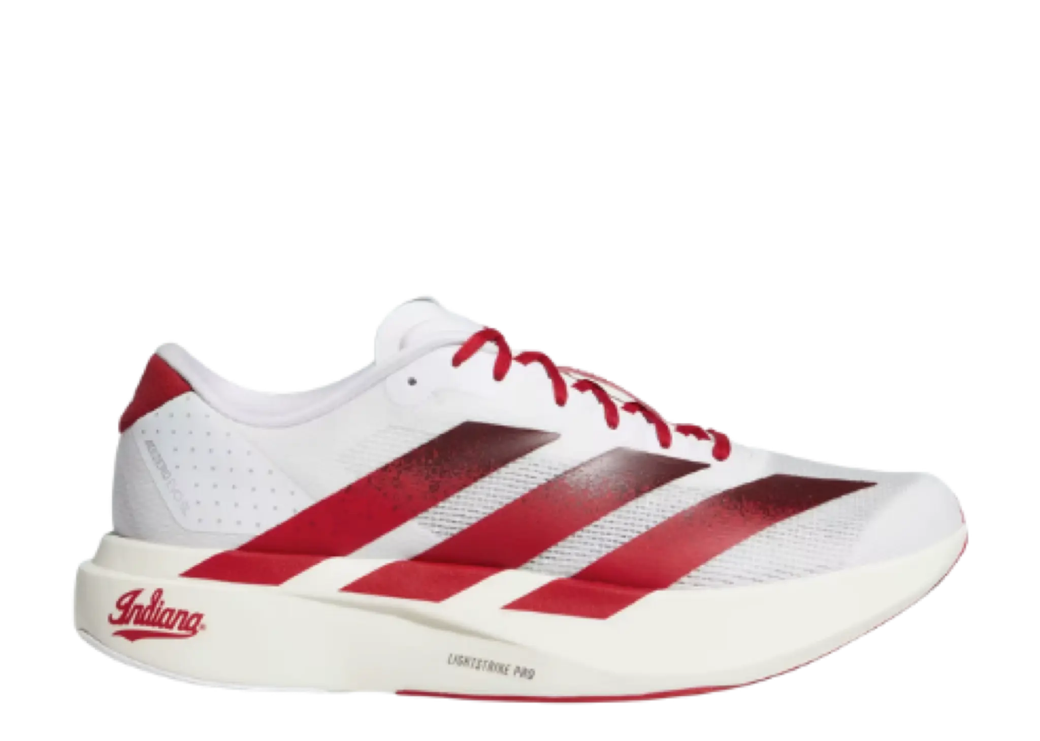 Adidas Adizero Evo SL Indiana
