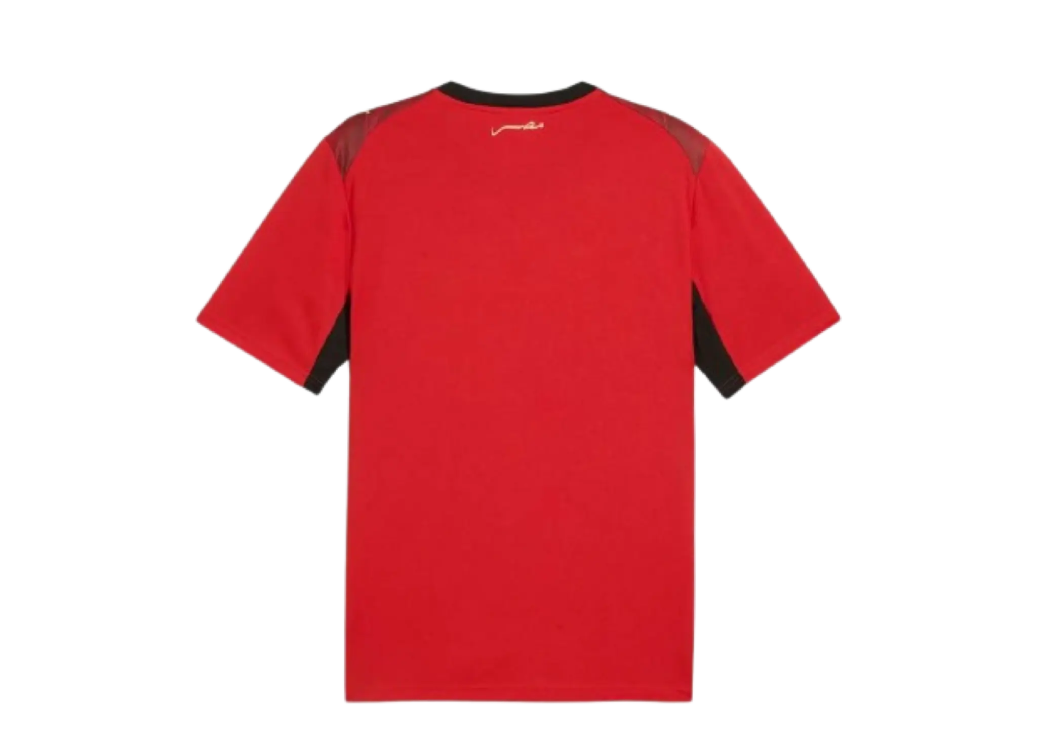 Puma Egypt 2026 Home Replica - photo 2