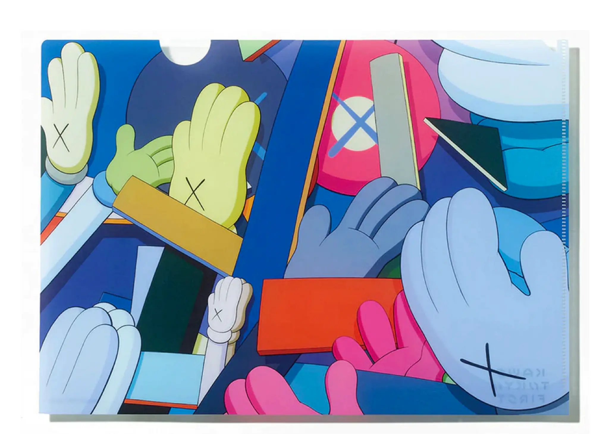 KAWS Tokyo First Clear File Curtains