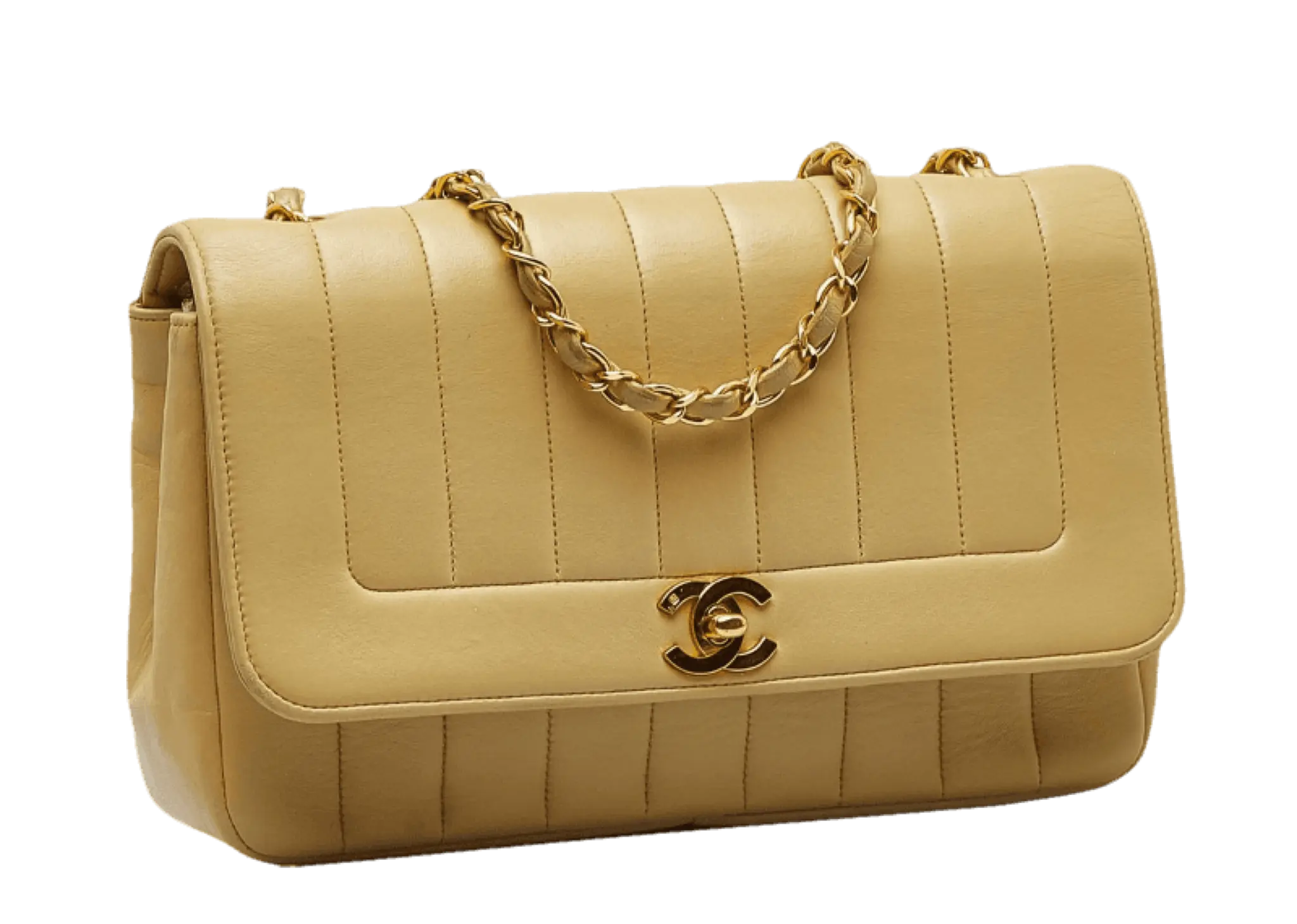 Chanel Vertical Border Flap  - photo 3