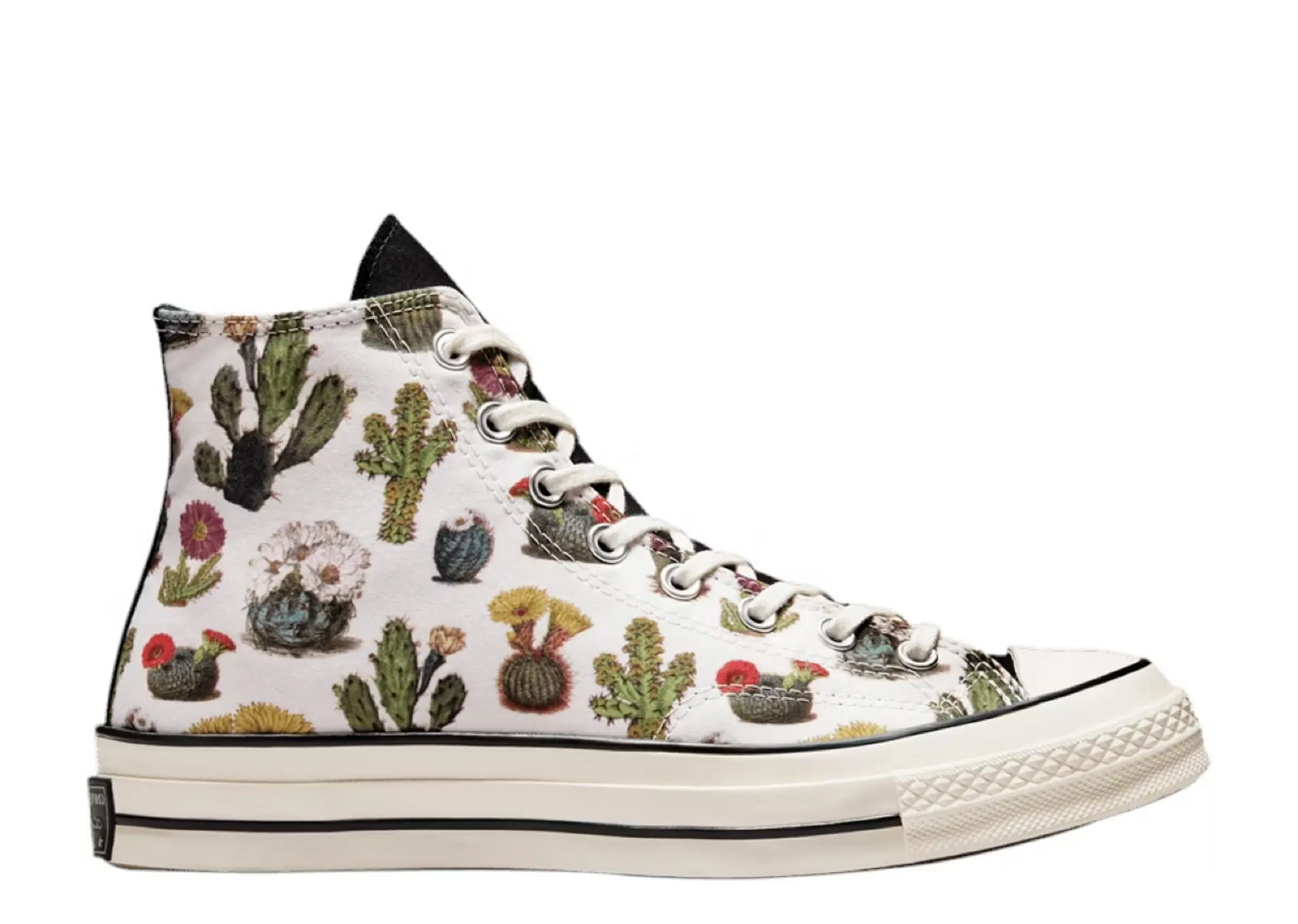 Converse Chuck 70 High 'Succulents'