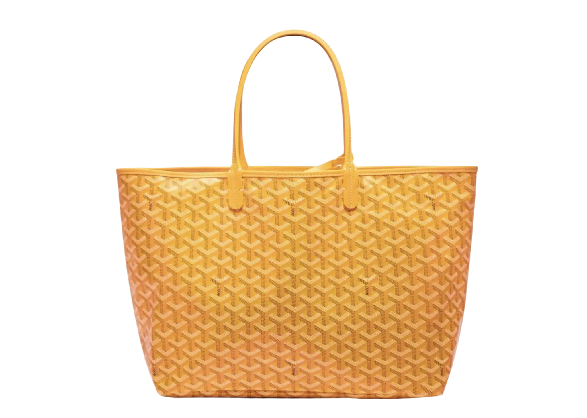 Goyard Saint Louis PM Bag