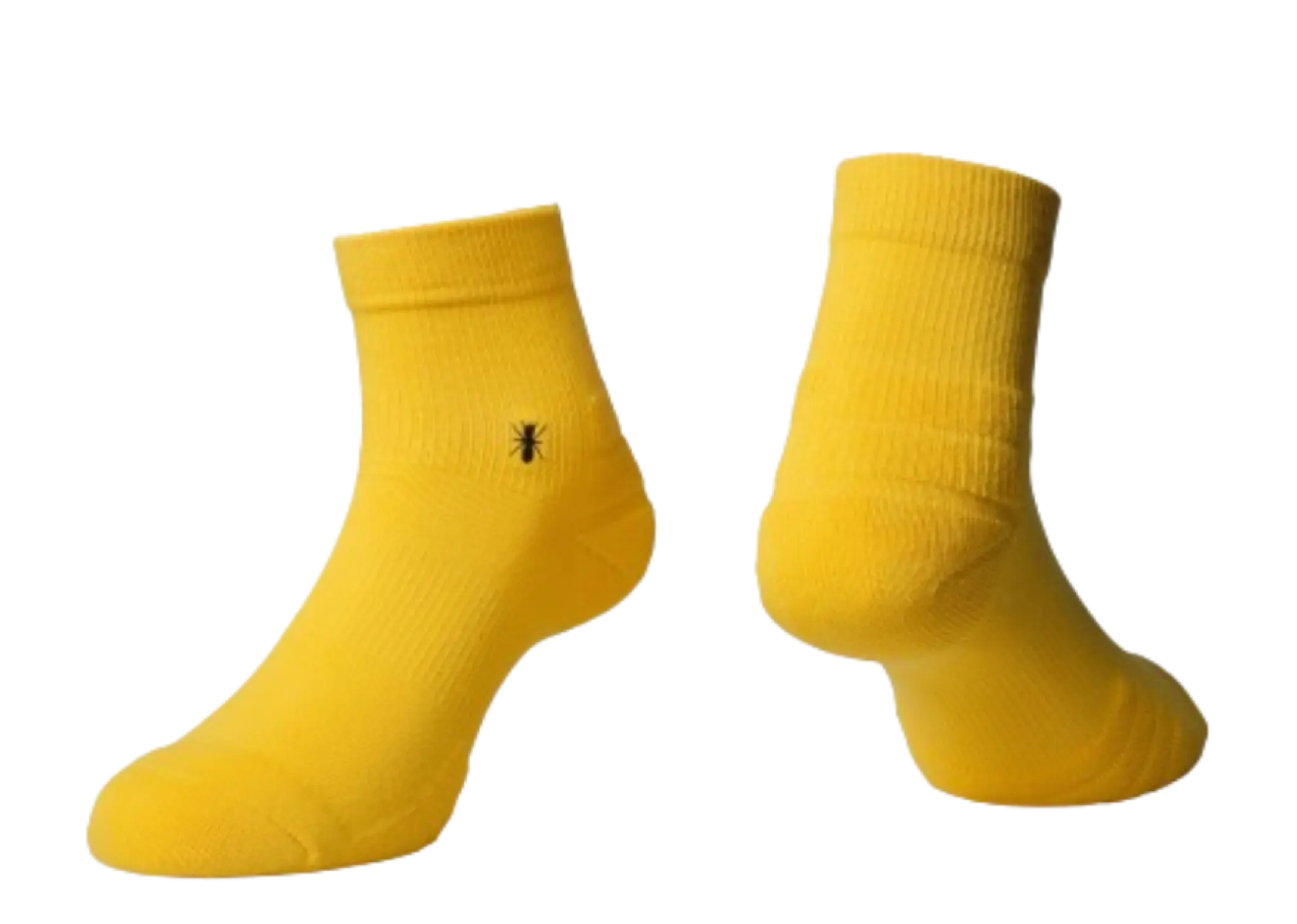 Voted New Essential Ankle Yellow