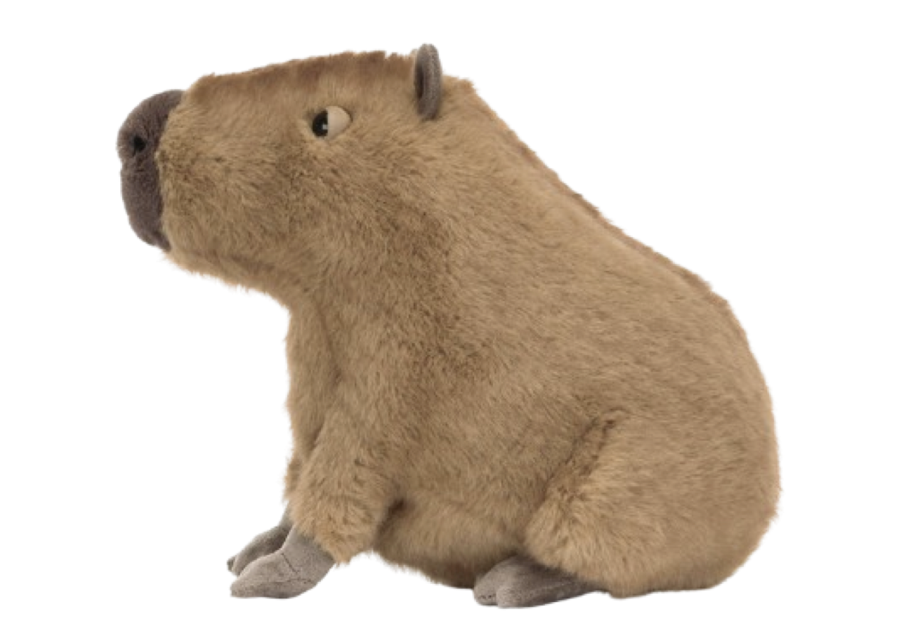 Jellycat Clyde Capybara - photo 2