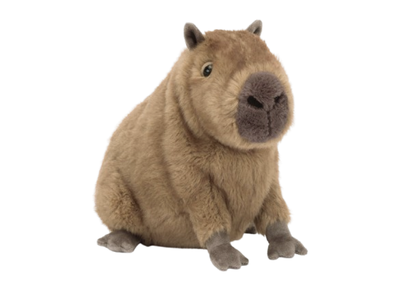 Jellycat Clyde Capybara