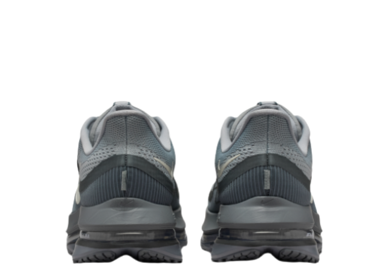 Nike Air Zoom Pegasus Premium Wolf Grey - photo 3