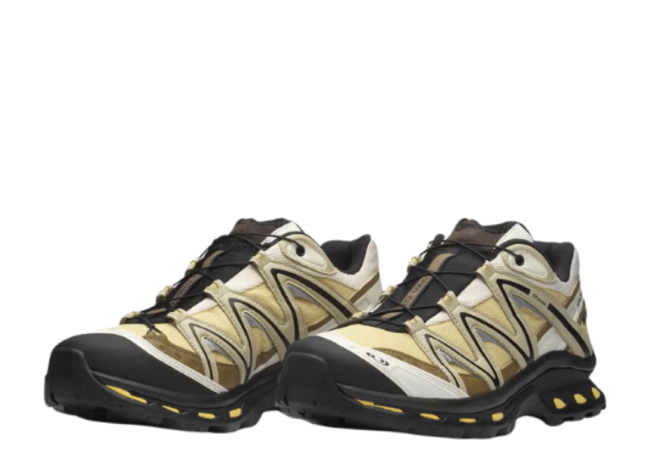 Salomon XT-Quest Gore-Tex Sahara Sun White Pepper - photo 2