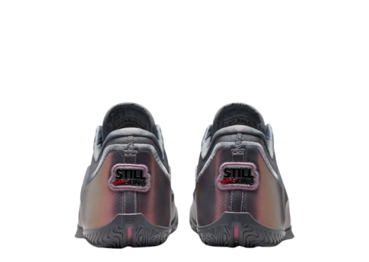 Nike LeBron XXIII Shut Up And Dribble EP Cool Grey Black - photo 3