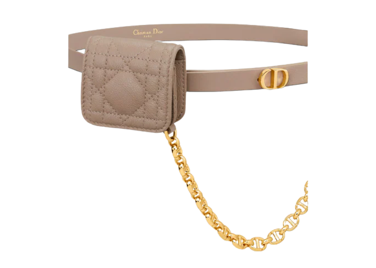 Dior Caro Belt With Removable Pouch - photo 2