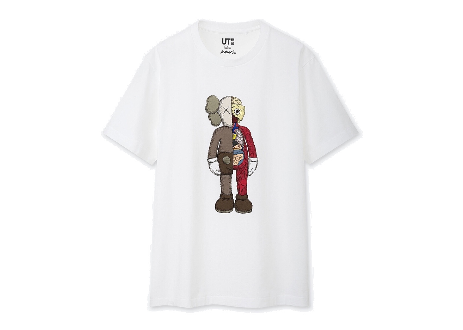 Uniqlo Kaws Anatomy