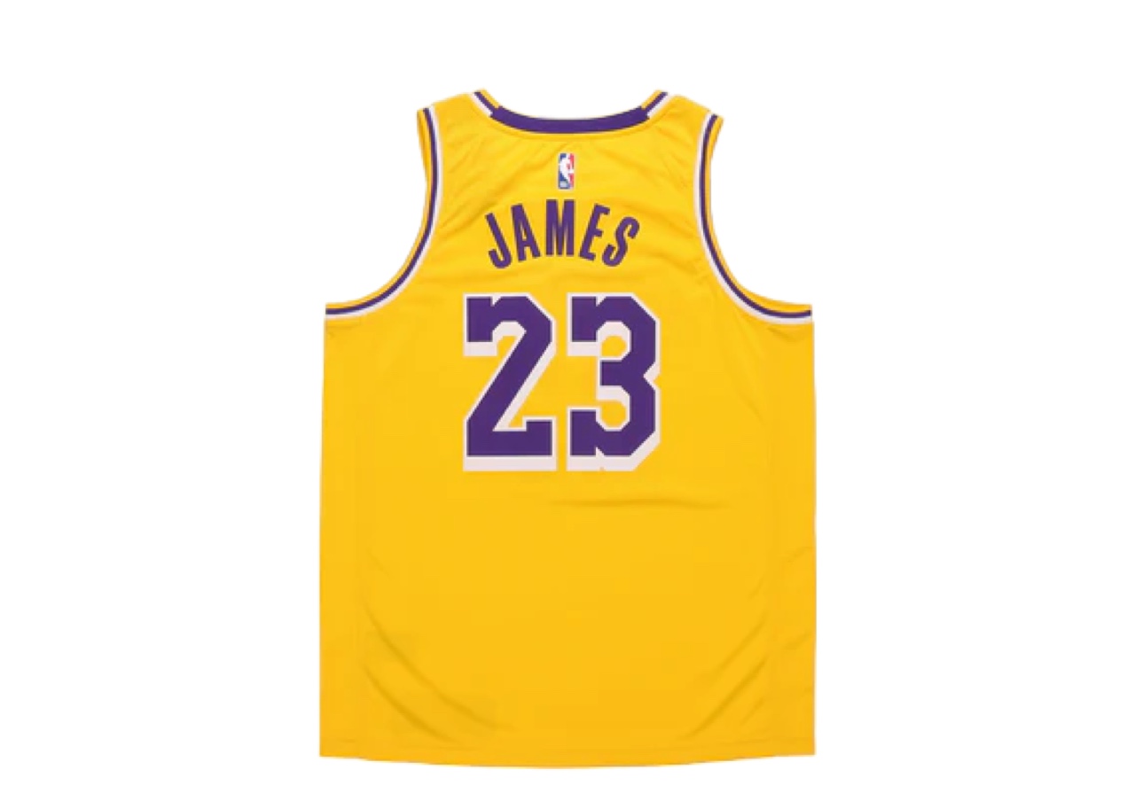 Nike LeBron James Icon Edition Swingman Los Angeles Lakers Yellow - photo 2