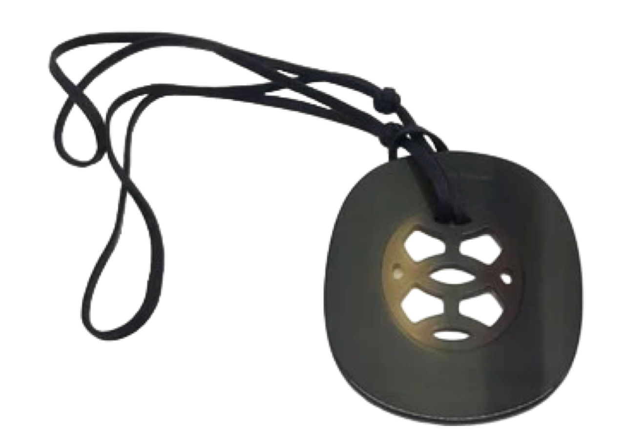 Hermes Horn Necklace
