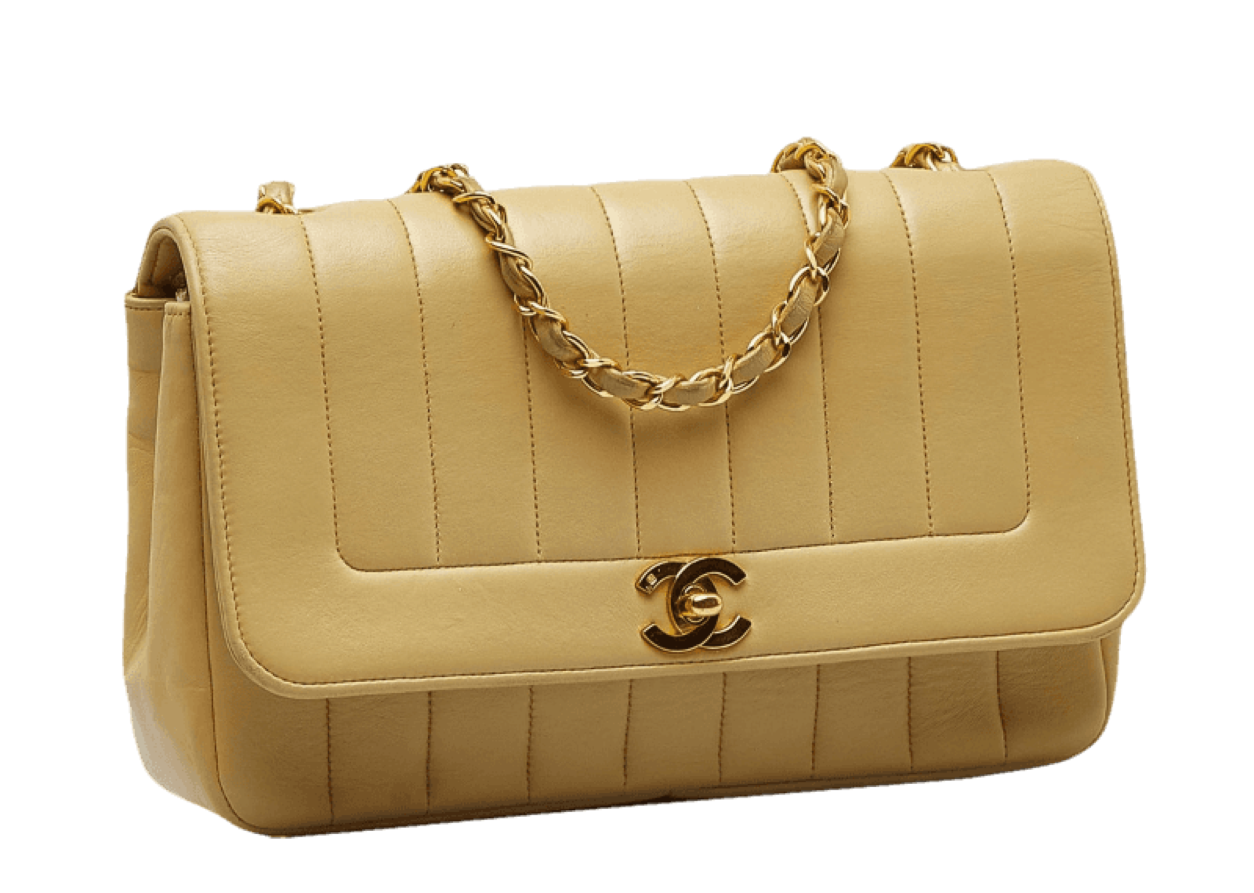 Chanel Vertical Border Flap  - photo 3
