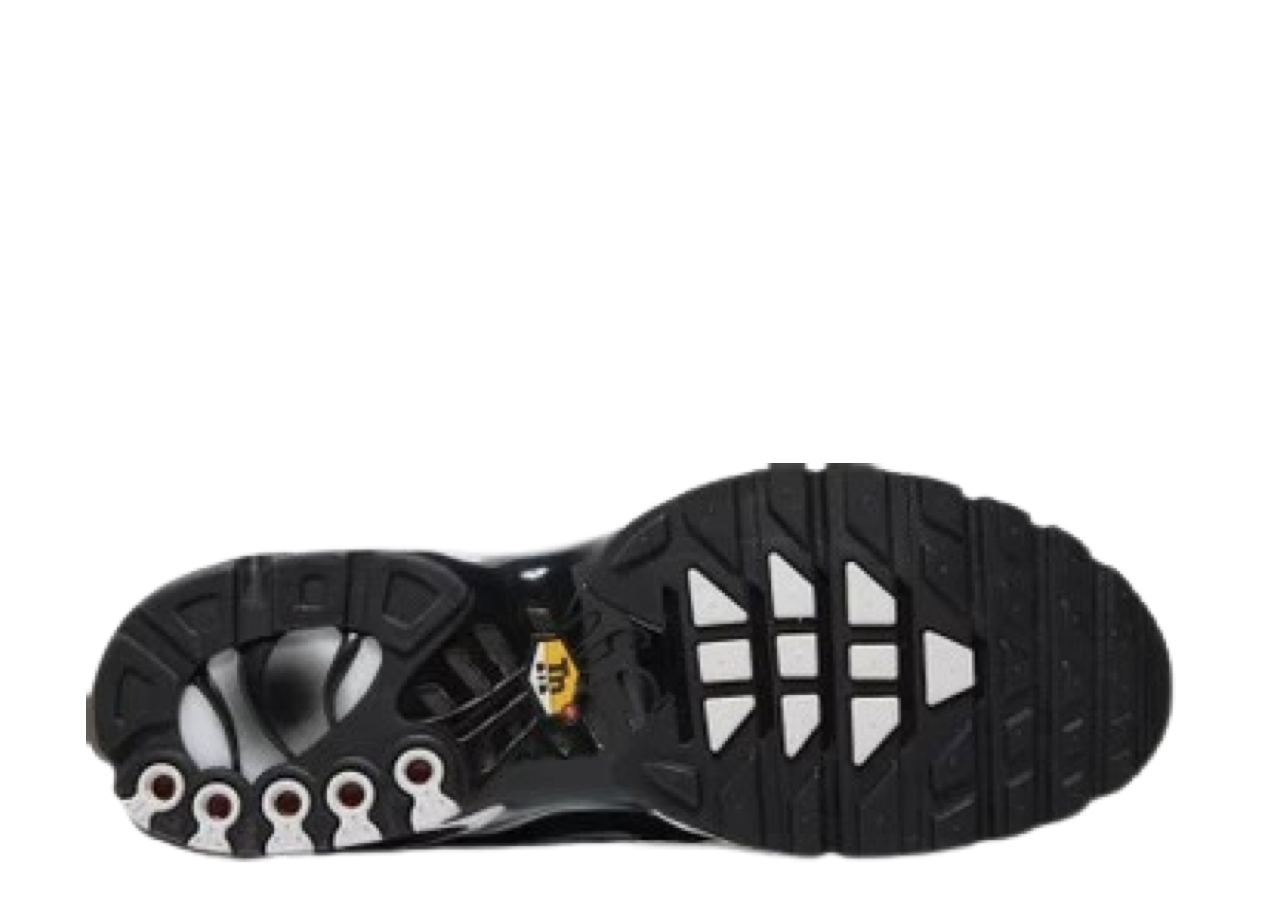 Nike Air Max Plus Black Silver White - photo 4