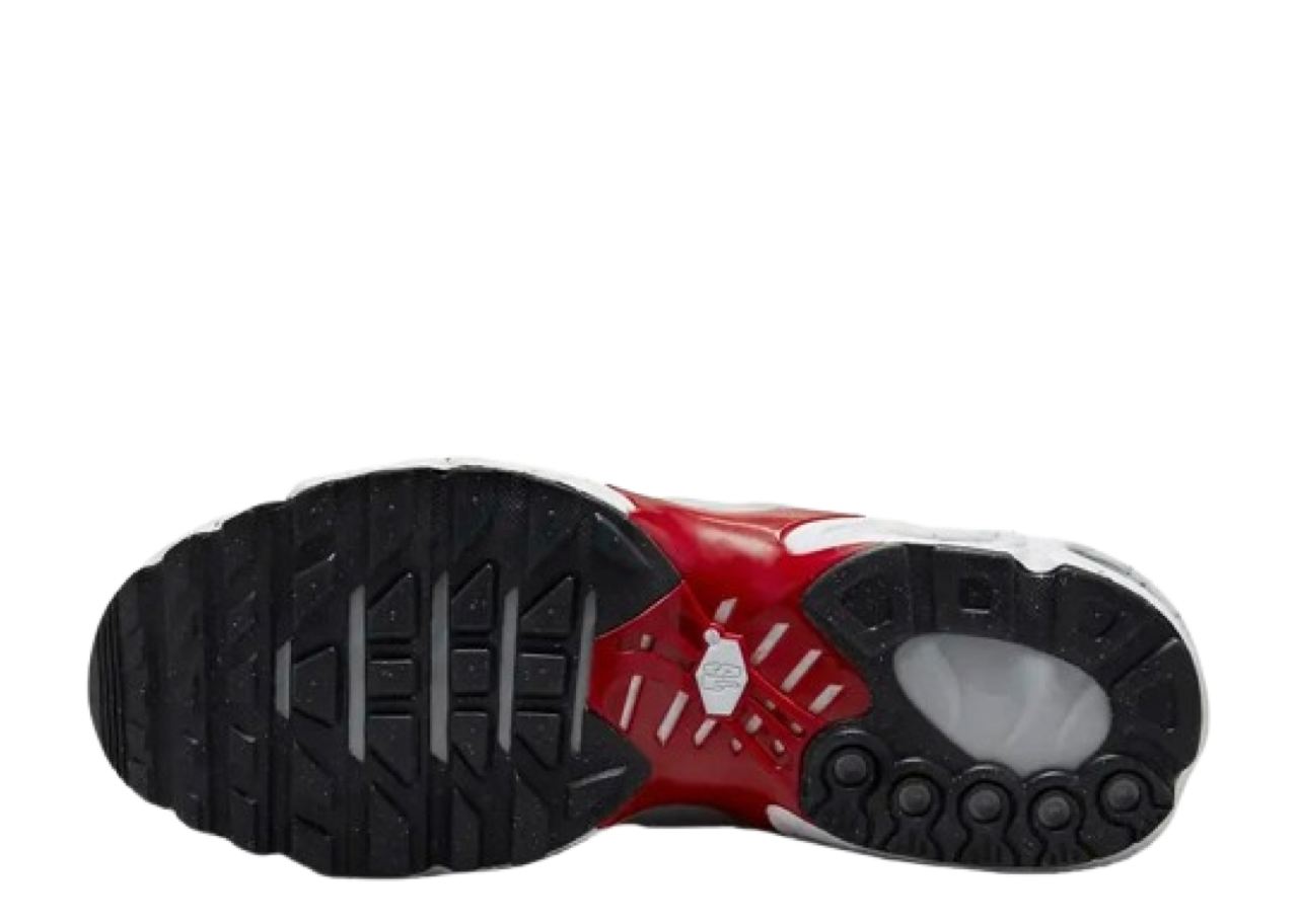 Nike Air Max Terrascape Plus Pure Platinum Gym Red - photo 4