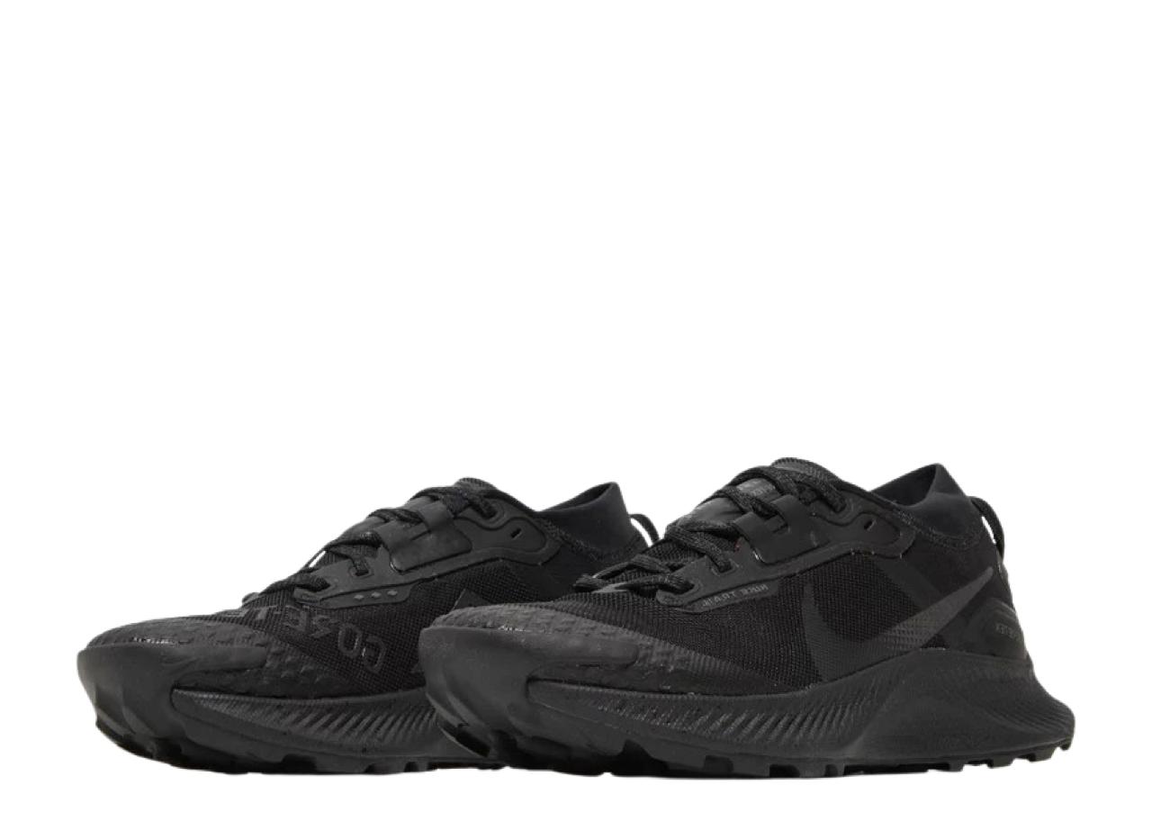 Nike Pegasus Trail 3 Gore-Tex Black Dark Smoke Grey (Women's) - photo 2