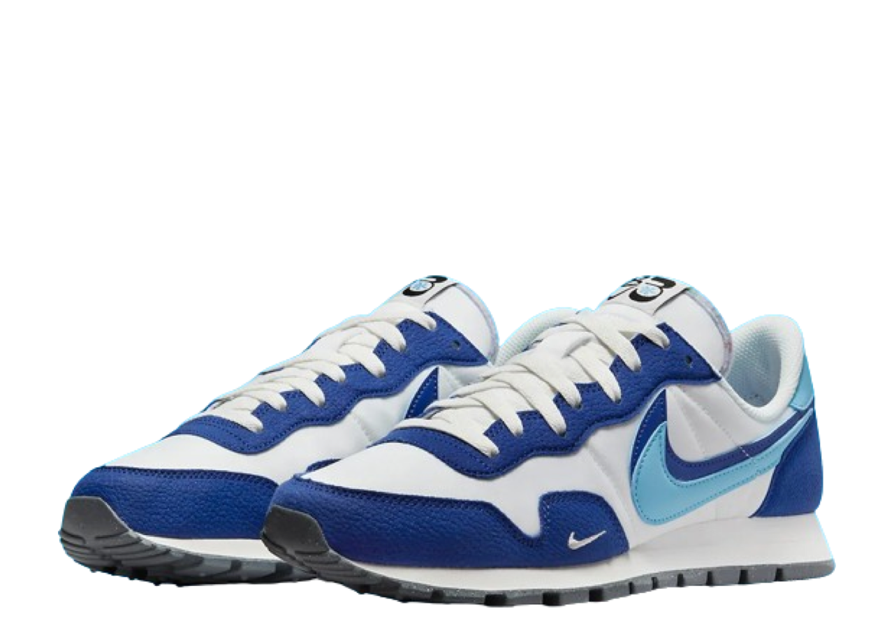 Nike Air Pegasus 83 Double Swoosh Blue White - photo 2